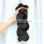 tangle free 100% cheap virgin brazilian body wave hair extension