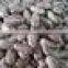 speckled Kidney Beans CHINA with good appearance for sale