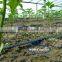 agriculture single blade labyrinth drip irrigation tape