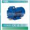YC,YL,YY,JY single phase two speed electric motor