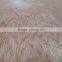 Shandong Wahkoon 4*8ft 0.3mm solomon wood veneer for plywood