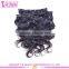 2016 Cheap Factory Price Hot Sale!!! Double Weft Full Head Full Cuticle Clip in Hair Extension