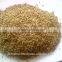 cumin seed