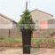 uv resistant inclined shiny fiber glass planter