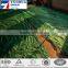 Agriculture Plastic Olive Collecting Net