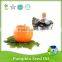 GMP Manufacturing Pure Natural Refined Pumpkin Seed Oil