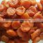 Bulk Packaging and Sweet Taste dried apricot