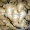 Chinese fresh air dried ginger