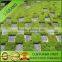 Ground cover net