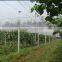 UV Agricultural Anti-hail Net/Anti-wind net/Anti Hailnets(45g-120g)