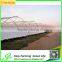 Gutter Height Commercial Polycarbonate Greenhouse for Used