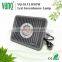 30W full spectrum COB grow LED flood light for hydroponic greenhouse systems