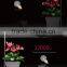 30 Led Grow Light Indoor Growing with Hydroponics