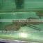 Freshwater stingray for sale and export