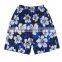 summer men shorts ,fashion print men beach shorts cotton shorts beach pants