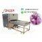Commercial Stainless Steel Onion Root Cutting Machine Manufacturer