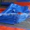 Clear PE tarpaulin exports to Chile used to cover the cherry tree
