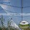 apple tree fruits tree anti hail net high quality hail protection net for agriculture