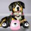 Hot Sale GPS Smart Collar Pet Locator Dog Mini Tracker Waterproof