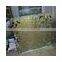 Designed Acid etehced Decorative Glass
