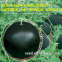 Maria pure black skin  watermelon hybrid watermelon seeds