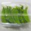 High Quanlity Clear Disposable Salad Contioner.clear Food Box. Disposable Plastic Food Box ,plastic Fruit Box.plastic Square Box