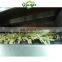 GRANDE Easy Operation Automatic Potato Finger Chips Machine with Good Price