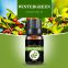 Wintergreen oil Holly oil aromatherapy essential oil