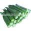 BRC Certified IQF Frozen Okra Whole