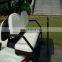 4 passenger seats golf cart with curtis controller and eve conversion kit