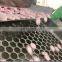 Automatic Effervescent Tablet Soft Tube Filling Sealing Machine With Online Support