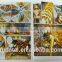 FDT custom kids fantastic history comic book soft cover book