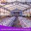 Commercial luxury tempering glass wall event tent Large wedding tents for sale