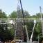 20M 25KN GR 65 Transmission Poles windproof 30m / S With Cross Arm Painting