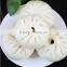 automatic dumpling making machine