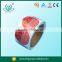 Color printing frozen water proof food label on roll