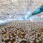 Automatic High Quality Broiler Poultry Farm House Equipment for Sale