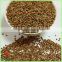 Common Cultivation Type Brown Color roasted buckwheat wholesale