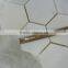 Wholesale Top Quality Natural White Marble Mosaic on Sale
