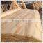 pine veneer pine wood price