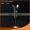 wine glass/glass goblet