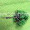 Architectural mode materails,building model tree, scale models, train layout model tree,MT-01                        
                                                Quality Choice