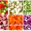 Promotional price food chopper with CE
