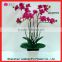 Real Touch Artificial Orchid Plant Wholesale Artificial Silk Flowers