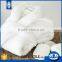 Hotel 21 free sample 100% cotton hotel pool towels wholesale