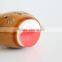 lucky cat car decoration tableware