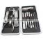 Stainless Steel Nail Scissor Earpick Daily Care Nail Salon Manicure Kit 12pcs/set Pedicure & Manicure Tools