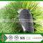 High Quality Green Color Artificial Grass For Sports 4g Artificial Pitch