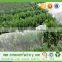Spunbond nonwovens industry landscape agriculture fabric