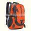 delicate sport mens bookbags